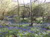 20220424113052-DSCN1655.JPG