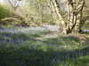20220424113137-DSCN1657.JPG