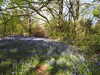 20220424113634-DSCN1663.JPG