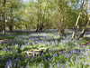 20220424113801-DSCN1664.JPG