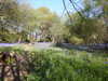 20220424114039-DSCN1665.JPG