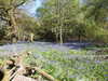 20220424114557-DSCN1666.JPG