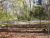 20220424115429-DSCN1671.JPG