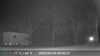 2022-04-30:West Runton Wildlife
