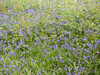 20220430115527-DSCN1676.JPG