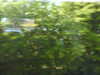 20220430123829-DSCN1694.JPG