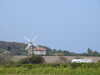 20220430133047-DSCN1712.JPG