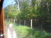 20220430142250-DSCN1729.JPG