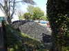 20220430145542-DSCN1744.JPG