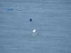 20220430163514-DSCN1762.JPG