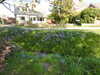 20220430185405-DSCN1772.JPG