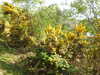 20220430190308-DSCN1775.JPG