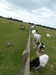 20220501125731-P1340516.JPG