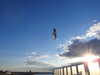 20220601205844-DSCN1820.JPG