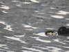 20220601213452-DSCN1846.JPG