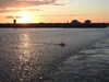 20220601214940-DSCN1869.JPG
