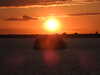 20220601215554-DSCN1886.JPG