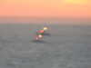 20220602052253-DSCN1932.JPG