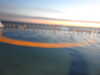 20220602052400-DSCN1935.JPG