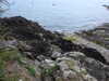 20220602125838-DSCN1963.JPG