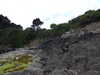 20220602130251-DSCN1978.JPG