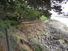 20220602163849-DSCN2000.JPG