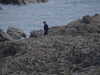 20220602170236-DSCN2032.JPG