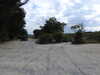 20220602172027-DSCN2042.JPG