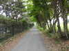 20220602172253-DSCN2043.JPG