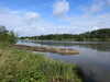20220607101645-DSCN2052.JPG