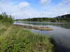 20220607101708-DSCN2053.JPG
