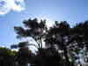 20220607101939-DSCN2058.JPG