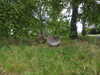 20220607103223-DSCN2059.JPG