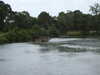 20220607103412-DSCN2061.JPG