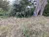 2022-06-10:Noirmoutier
