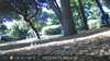 20220613081239-DSCF0067.JPG