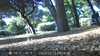 20220613081332-DSCF0069.JPG