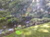 20220615093513-DSCN2105.JPG