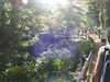 20220615093538-DSCN2106.JPG