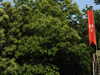 20220615103555-DSCN2124.JPG