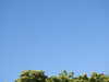20220615103605-DSCN2125.JPG