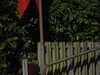 20220615103618-DSCN2127.JPG