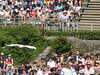 20220615103938-DSCN2147.JPG