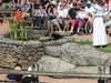20220615103950-DSCN2148.JPG