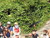 20220615104009-DSCN2152.JPG