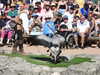 20220615104202-DSCN2162.JPG