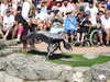 20220615104207-DSCN2166.JPG