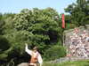 20220615104531-DSCN2203.JPG