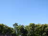 20220615104918-DSCN2232.JPG