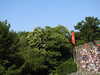 20220615105258-DSCN2251.JPG